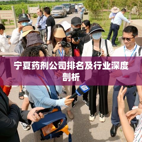 2025年2月 第216頁