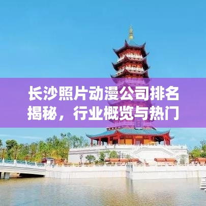 長(zhǎng)沙照片動(dòng)漫公司排名揭秘，行業(yè)概覽與熱門機(jī)構(gòu)榜單