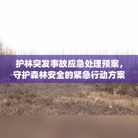 護林突發事故應急處理預案，守護森林安全的緊急行動方案