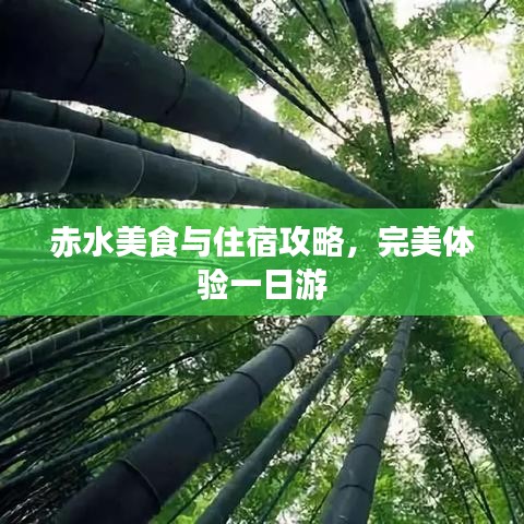 赤水美食與住宿攻略，完美體驗一日游