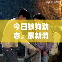 今日狼狗動態，最新消息與圖片匯總