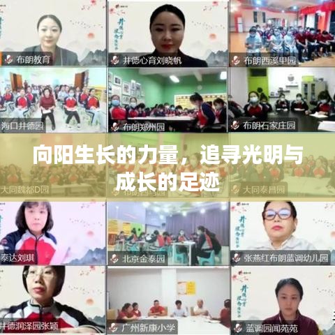 向陽生長的力量，追尋光明與成長的足跡