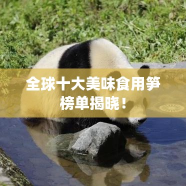全球十大美味食用筍榜單揭曉！