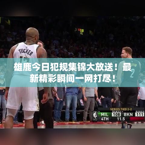 雄鹿今日犯規(guī)集錦大放送！最新精彩瞬間一網(wǎng)打盡！