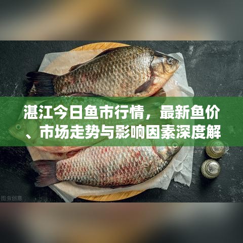 湛江今日魚市行情，最新魚價、市場走勢與影響因素深度解析