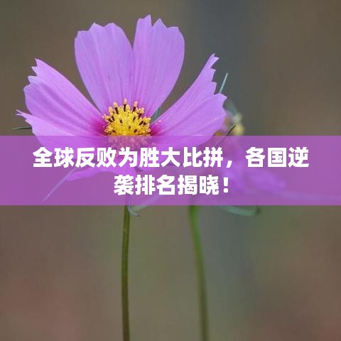 2025年2月5日 第9頁