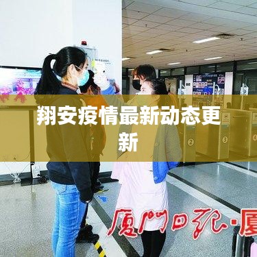 翔安疫情最新動態更新