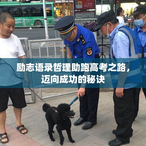 勵志語錄哲理助跑高考之路，邁向成功的秘訣
