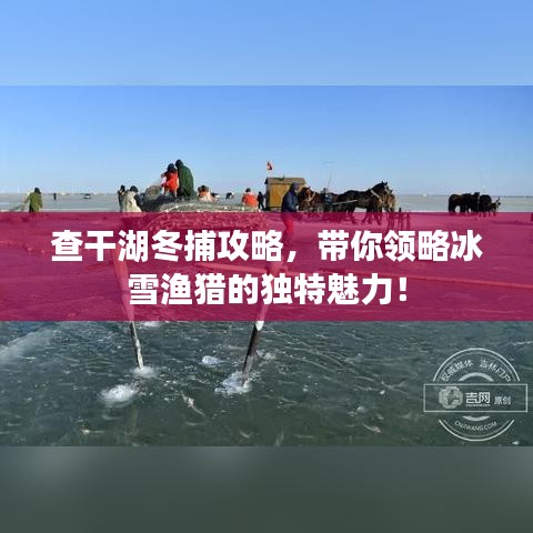 查干湖冬捕攻略，帶你領略冰雪漁獵的獨特魅力！