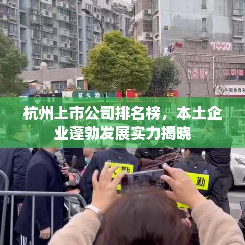 杭州上市公司排名榜，本土企業蓬勃發展實力揭曉