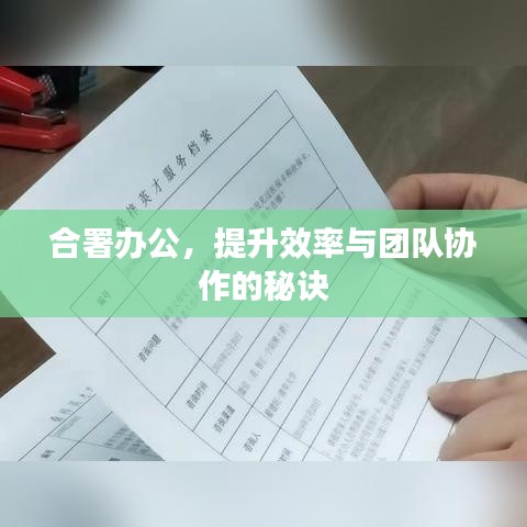 合署辦公，提升效率與團隊協作的秘訣