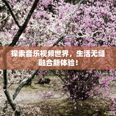 探索音樂視頻世界，生活無縫融合新體驗！