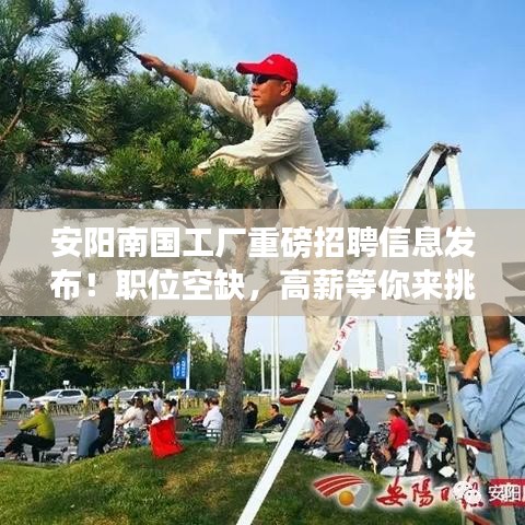 安陽南國工廠重磅招聘信息發布！職位空缺，高薪等你來挑戰！
