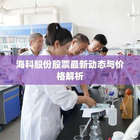 海科股份股票最新動態與價格解析