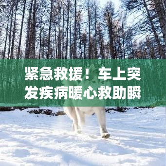 緊急救援！車上突發疾病暖心救助瞬間