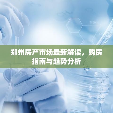 鄭州房產(chǎn)市場最新解讀，購房指南與趨勢分析