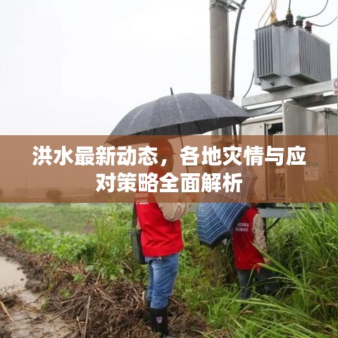 洪水最新動態，各地災情與應對策略全面解析