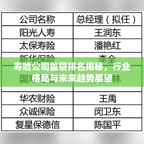 壽險公司監管排名揭秘，行業格局與未來趨勢展望
