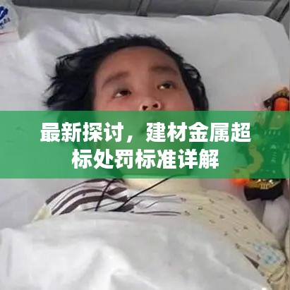 最新探討，建材金屬超標(biāo)處罰標(biāo)準(zhǔn)詳解