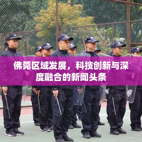 佛莞區域發展，科技創新與深度融合的新聞頭條