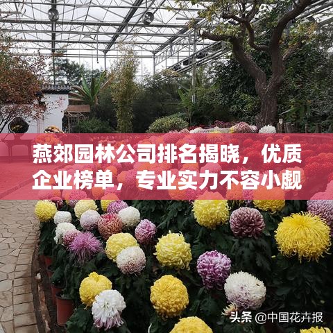 燕郊園林公司排名揭曉，優質企業榜單，專業實力不容小覷！