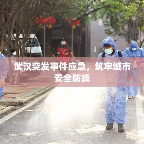 武漢突發事件應急，筑牢城市安全防線