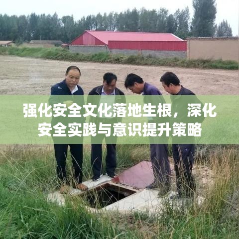 強化安全文化落地生根，深化安全實踐與意識提升策略