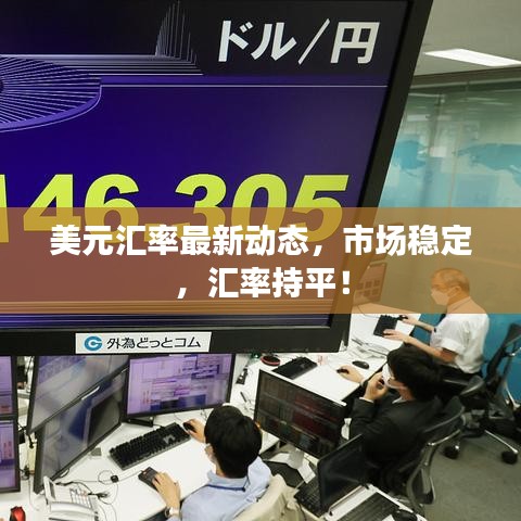 美元匯率最新動態，市場穩定，匯率持平！