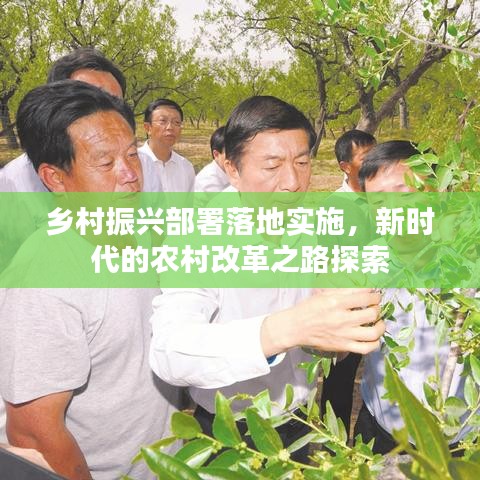 鄉村振興部署落地實施，新時代的農村改革之路探索