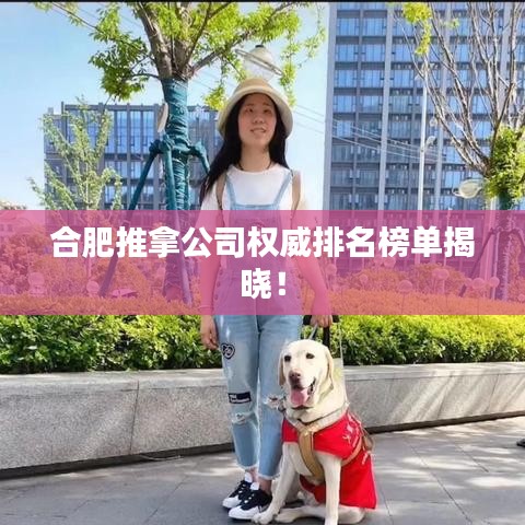 合肥推拿公司權威排名榜單揭曉！
