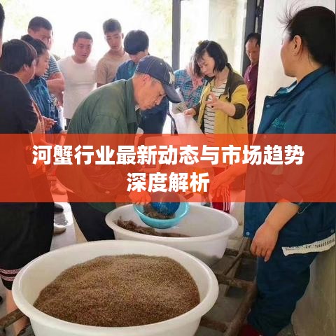 河蟹行業(yè)最新動(dòng)態(tài)與市場(chǎng)趨勢(shì)深度解析