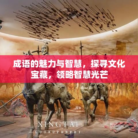 成語的魅力與智慧，探尋文化寶藏，領略智慧光芒
