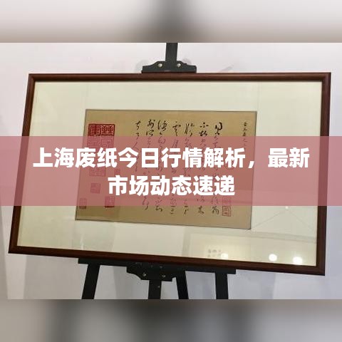 上海廢紙今日行情解析，最新市場動態速遞