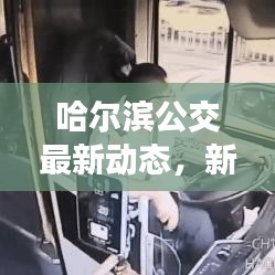 哈爾濱公交最新動態，新聞頭條一網打盡