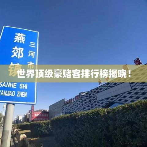 世界頂級豪賭客排行榜揭曉！