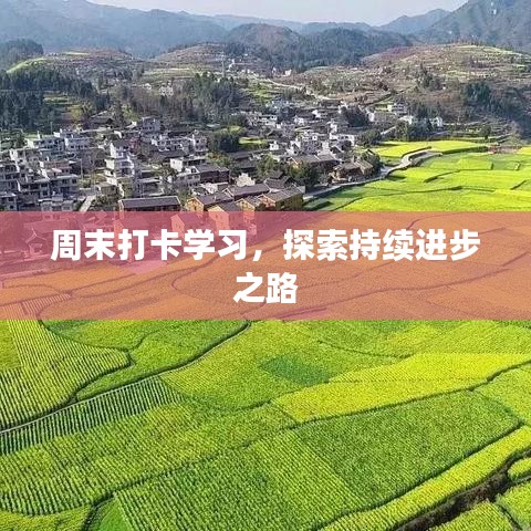 周末打卡學習，探索持續進步之路