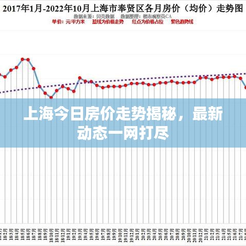 2025年2月8日 第2頁