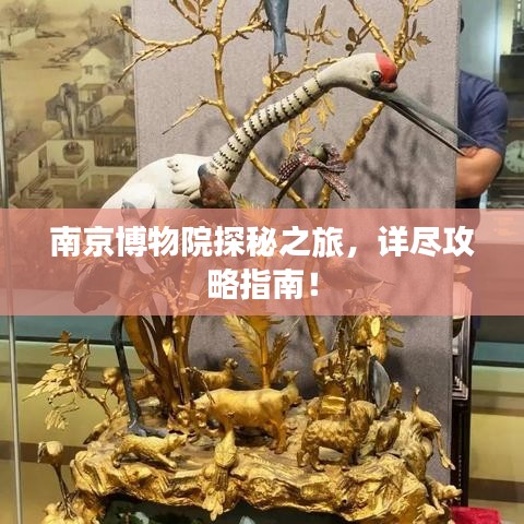 南京博物院探秘之旅，詳盡攻略指南！
