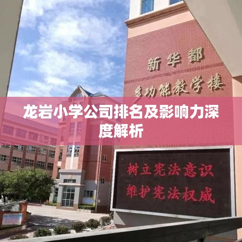 龍巖小學公司排名及影響力深度解析