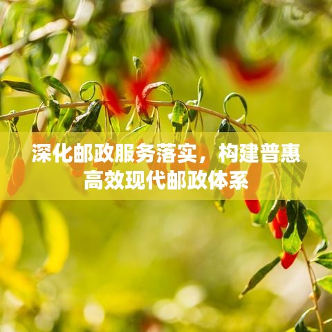 深化郵政服務落實，構(gòu)建普惠高效現(xiàn)代郵政體系
