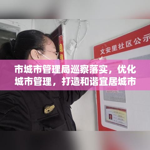市城市管理局巡察落實，優化城市管理，打造和諧宜居城市新篇章