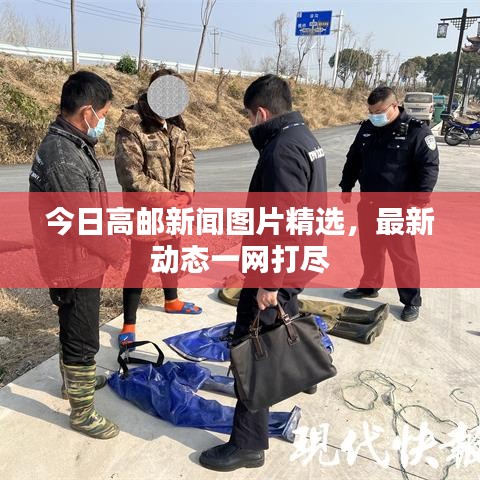 今日高郵新聞圖片精選，最新動態一網打盡