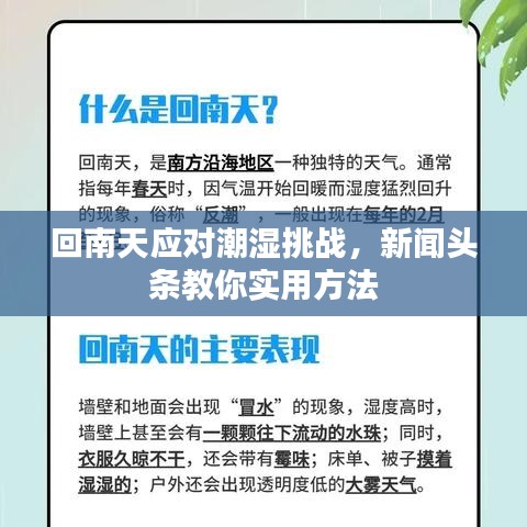 回南天應對潮濕挑戰，新聞頭條教你實用方法