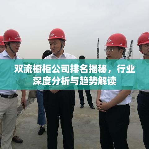 雙流櫥柜公司排名揭秘，行業(yè)深度分析與趨勢解讀