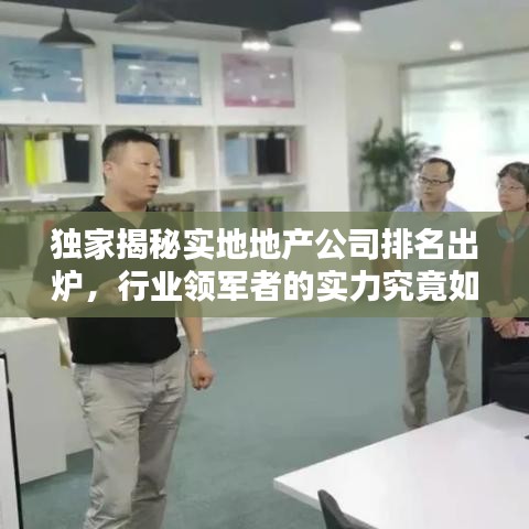 獨家揭秘實地地產(chǎn)公司排名出爐，行業(yè)領(lǐng)軍者的實力究竟如何？