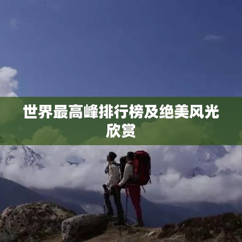 2025年2月9日
