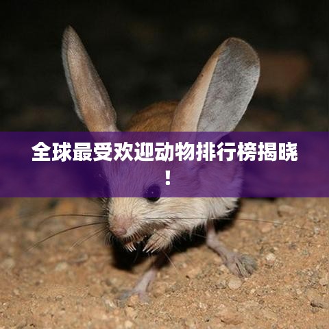 2025年2月10日 第3頁