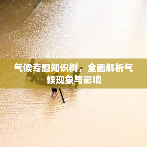 氣候?qū)ｎ}知識(shí)樹，全面解析氣候現(xiàn)象與影響