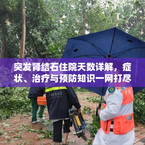 突發(fā)腎結(jié)石住院天數(shù)詳解，癥狀、治療與預(yù)防知識(shí)一網(wǎng)打盡