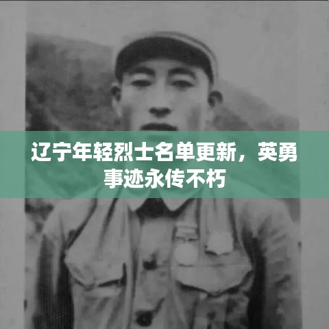 遼寧年輕烈士名單更新，英勇事跡永傳不朽